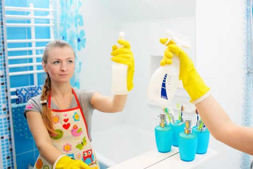 Professional carpet cleaning equipment for pet stain odour removal in West Wickham