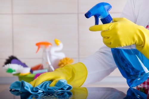 Fresh clean home interior after pet stain odour removal service