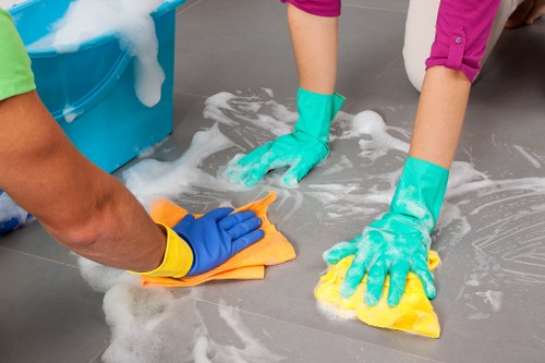Close-up of enzyme cleaner used for pet odour removal on carpet