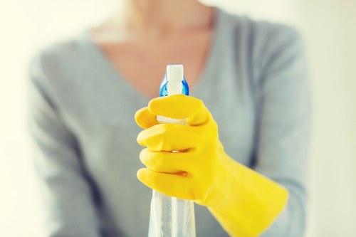 Carpet stain removal service in West Wickham