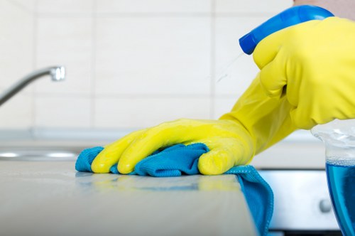 Sustainable carpet cleaning service with responsible waste management