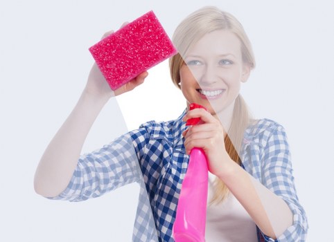 Upholstery cleaning process for a living room sofa