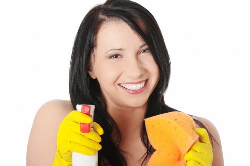 Screen-reader and keyboard accessibility support for a local carpet cleaning website