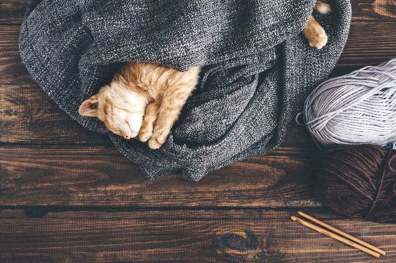 carpet cleaning deep cleaning